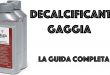 Decalcificante Gaggia Recensioni Opinione Prezzo