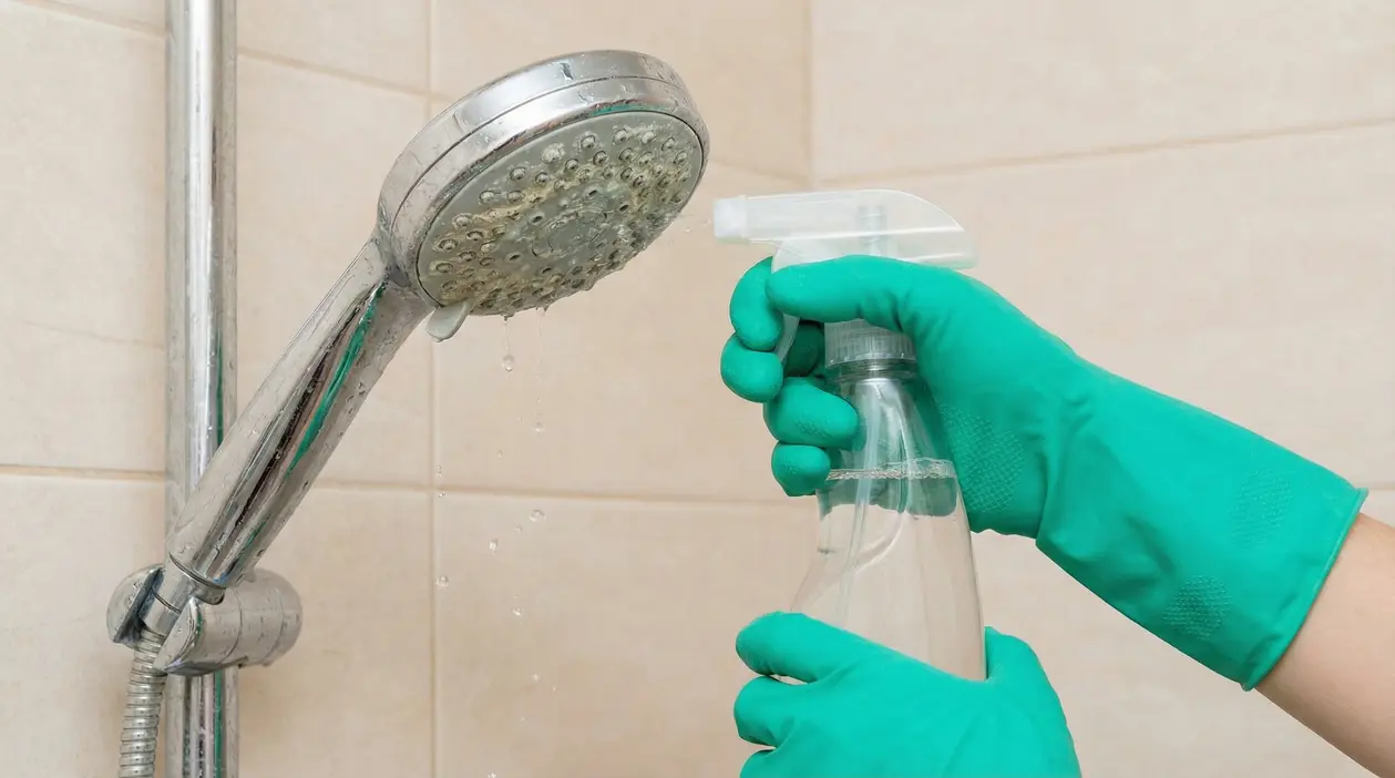 Mani con guanti spruzzano un detergente naturale su un soffione della doccia con residui di calcare