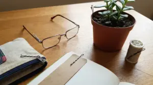 Forcine usate come segnalibro, chiusura per pochette, supporto per occhiali e guida per piante su un tavolo